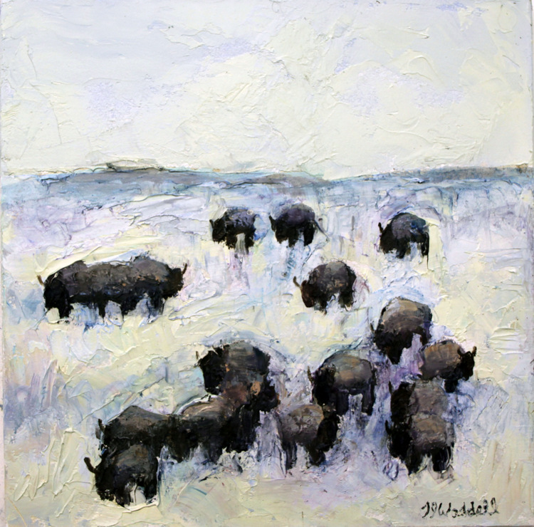 Winter Buffalo